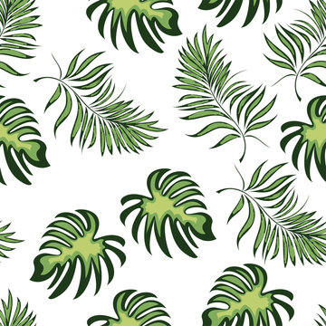 Seamless pattern of a tropical palm tree, jungle leaves. Vector floral pattern. © podtin