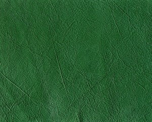 green texture of leather