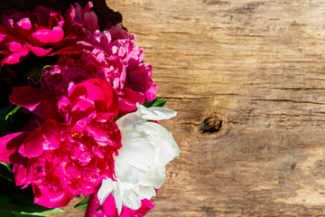 Beautiful peony flowers on rustic wooden background. Top view, copy space