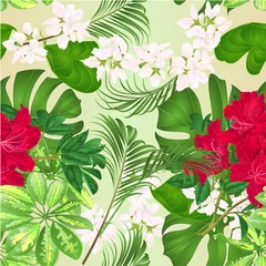 Fotobehang Seamless texture bouquet with tropical flowers floral arrangement, with beautiful red rhododendron , Schefflera ,philodendron and ficus natural background vintage vector illustration  editable © zdenat5