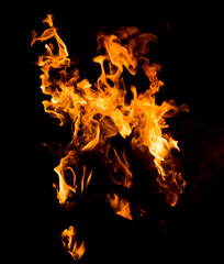 Flame of fire on a black background