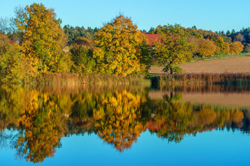 Reflektion der Herbstfarben im Teich. Attenweiler Biberach 