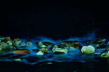 Obraz na płótnie Canvas reflection in water