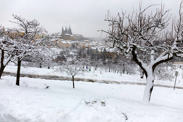 Snowy foggy Prague City with gothic Castle from Hill Petrin, Czech republic
