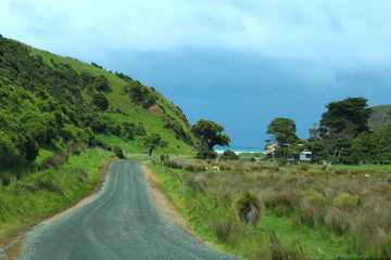 Dirt road in rural area in New Zealand
