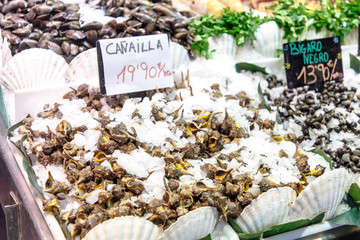 Various shrimps, shellfish and other seafood are sold on the market