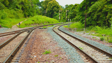 Fototapeta premium Twin railroad through the green forest . Thailand.