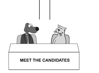 Dog and cat are candidates