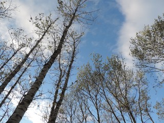 Obraz premium souvenir matane 3