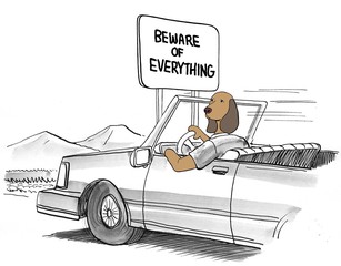 Dog is worried about danger while driving