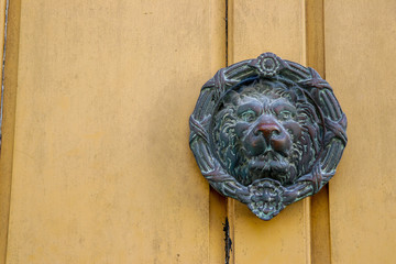 the nose of this old bronze lion on the door to a historic home in Charleston, South Carolina, is...