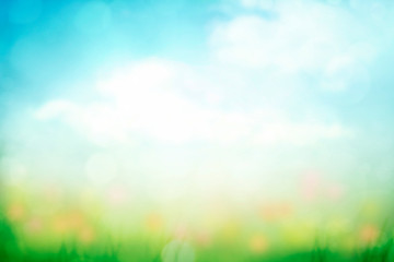 abstract nature spring background with green grass and blue sky