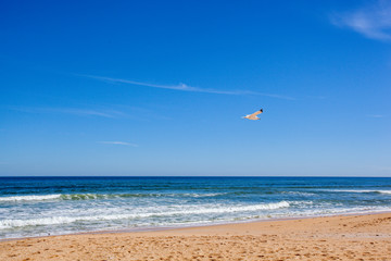 Beach Shore Water Coming in Sand Ocean Landscape Sunny Daytime Vacation Warm Tropical Weather Environment