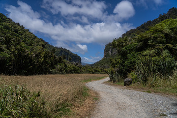 Fototapeta na wymiar Pororari River track, landscape on the Pororari River Track, new zealand, south island, Wild New Zealand forest or jungle, Catlins, South Island. 