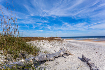 Vacation Beach Sunny Dunes Grass Tall Nature Tropical Weather Beautiful Sand Shore