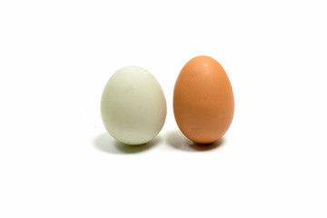 eggs, isolated, background, white