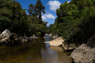 Fototapeta na wymiar Pororari River track, landscape on the Pororari River Track, new zealand, south island, Wild New Zealand forest or jungle, Catlins, South Island. 