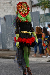 Damoiseau ou damoiselle défile au carnaval de Cayenne en Guyane française