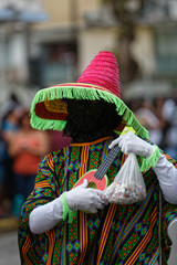 Guitare pastèque au carnaval de Cayenne en Guyane française