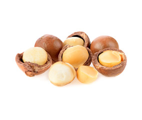 Macadamia nut isolated on white background