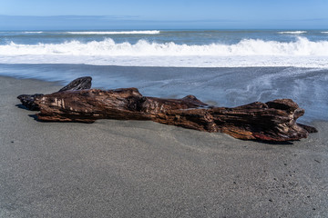 dead wood on the beach of hotikita New Zealand, amazing beach in new zealand, amazing ocean image with beach and waves, old wood on the beach of New Zealand