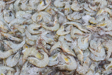 Close up of raw prawn of shrimp