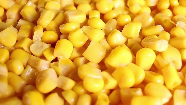 Yellow corn grains food closeup texture pattern seamless looping rotating video footage hd resolution.