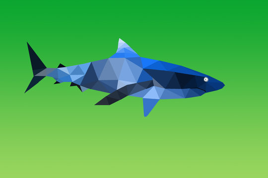 requin nageant