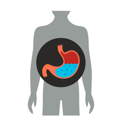 Full stomach of water and bubbles. flat vector illustration isolated