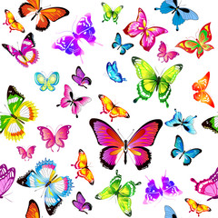 Fototapeta na wymiar beautiful color butterflies, set,pattern, isolated on a white