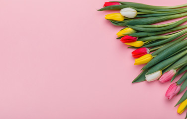 Valentine's Day background. Beautiful fresh tulips.