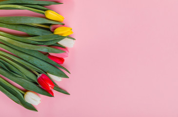 Valentine's Day background. Beautiful fresh tulips.