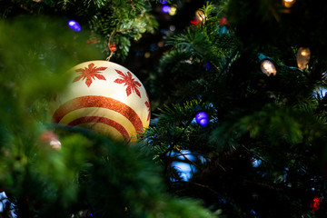 Christmas Ornament on Tree