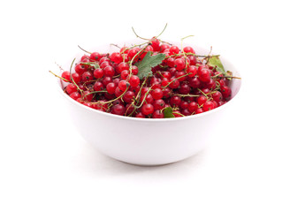Red currant in a white cup. Isolated