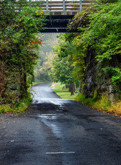 Rural bridge after the rain