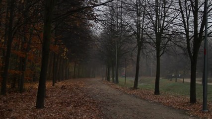 A bicycle rider rides through a city's park path during an autumn foggy misty morning.