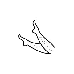 shin epilation, women icon. Element of health care for mobile concept and web apps icon. Thin line icon for website design and development, app development