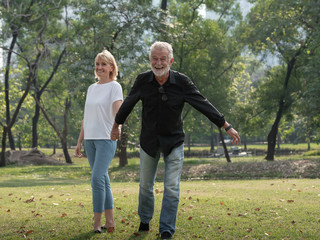 Happy senior man and woman couple walking and holding hands in a park on a sunny day. relax in the forest spring summer time. free time, lifestyle retirement grandparents concept.