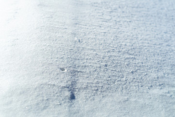 Snow Texture