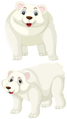 Set of polar bear character