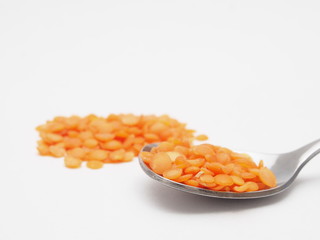 ヒラマメ　レンズ豆　オレンジ色