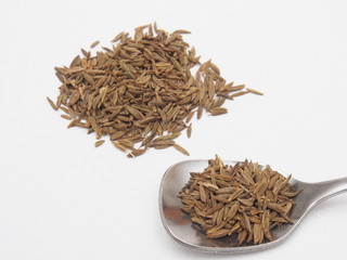 クミン　香辛料