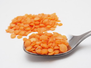 ヒラマメ　レンズ豆　オレンジ色