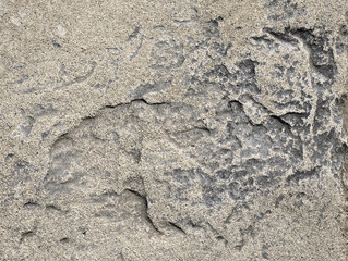 Color concrete wall backgrounds