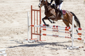 Horse jumping the hurdles in an equestrian jumping contest in Mexico
