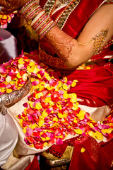 Colorful Rose Petals Are Showered on a Bride to Symbolize Beauty at a South Indian Wedding Ceremony in Hyderabad, India