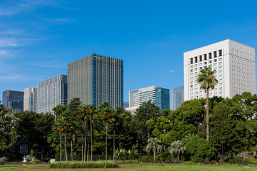 (東京都-都市風景)日比谷公園とオフィスビル群１