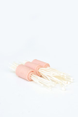 Thai Needle mushroom.