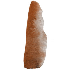 Abstract orange watercolor and stylish brush stroke on the white isolated background. Creative colorful form. Decorative element.