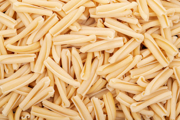 Uncooked Italian Casarecce pasta made from organic durum wheat semolina. Macaroni product.